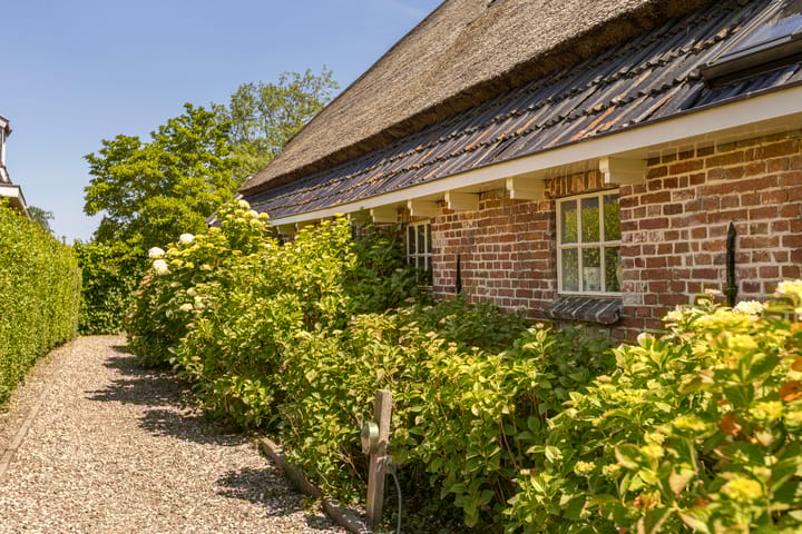 Photo 75 of Omgong 7