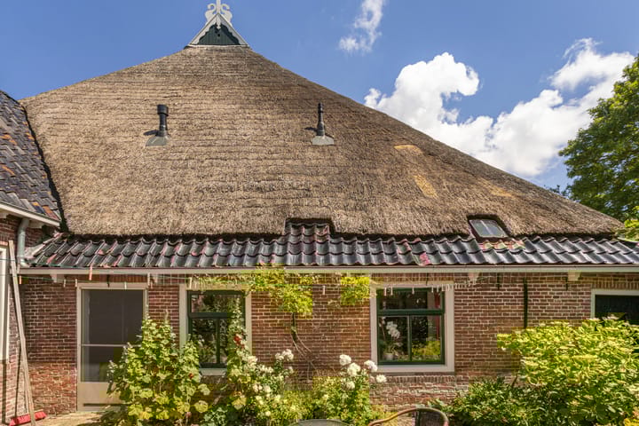 Photo 76 of Omgong 7