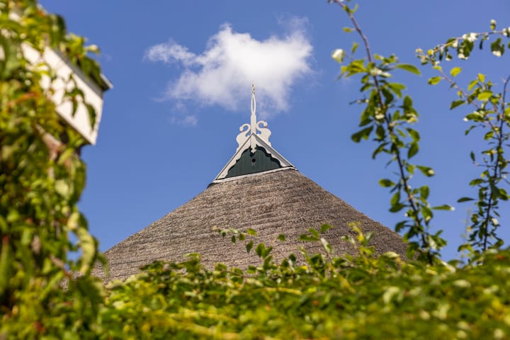 Photo 83 of Omgong 7