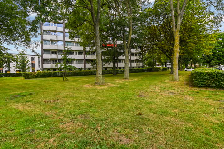 Foto 2 van Roggekamp 493