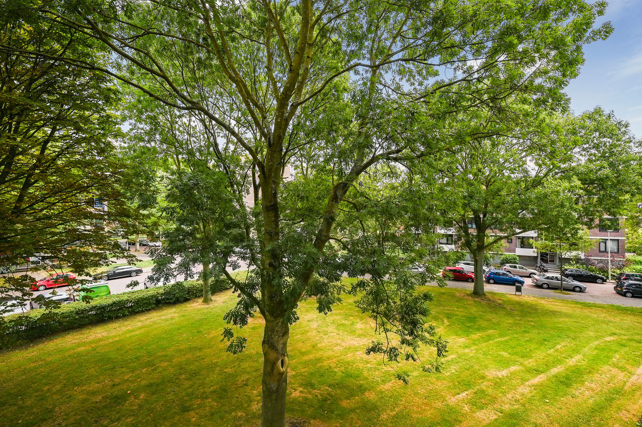 Foto 9 van Roggekamp 493