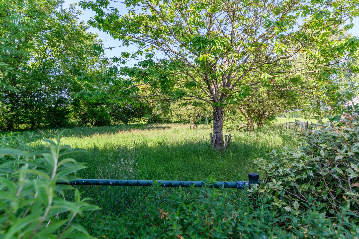 Foto 19 van Schoterlandseweg 129