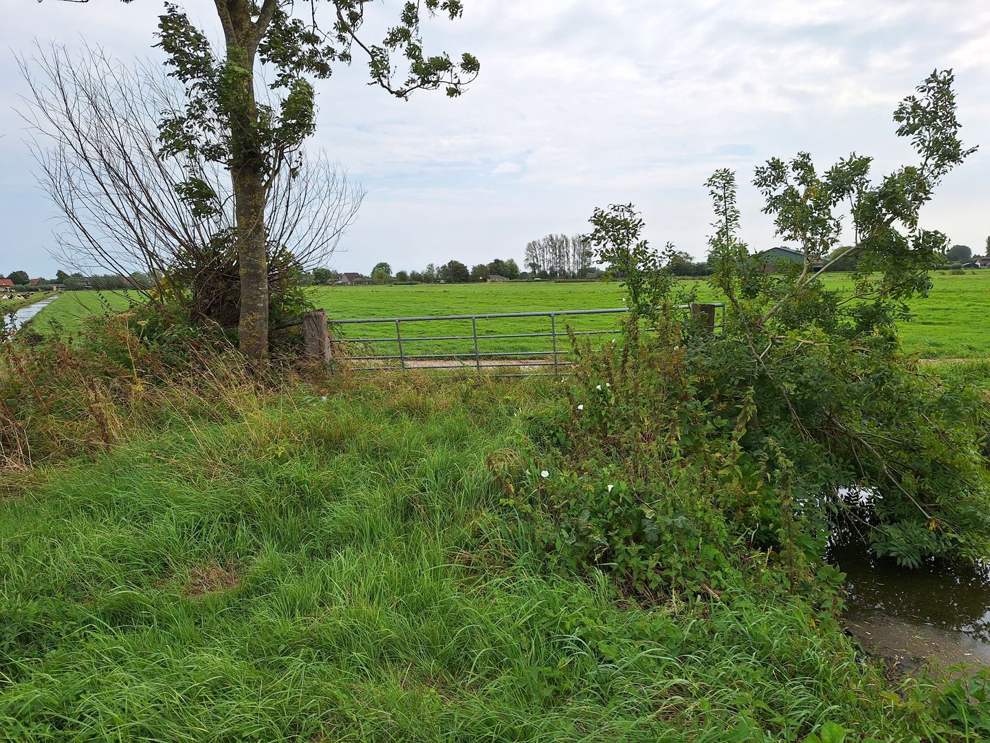 Bekijk foto 4 van Lage Giessen