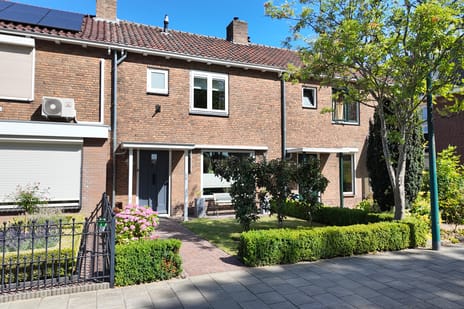 undefined main image