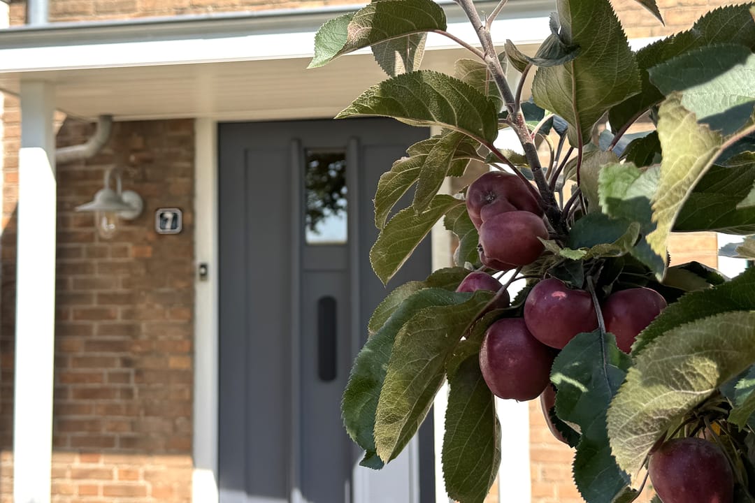 Photo 56 of Oranjestraat 7