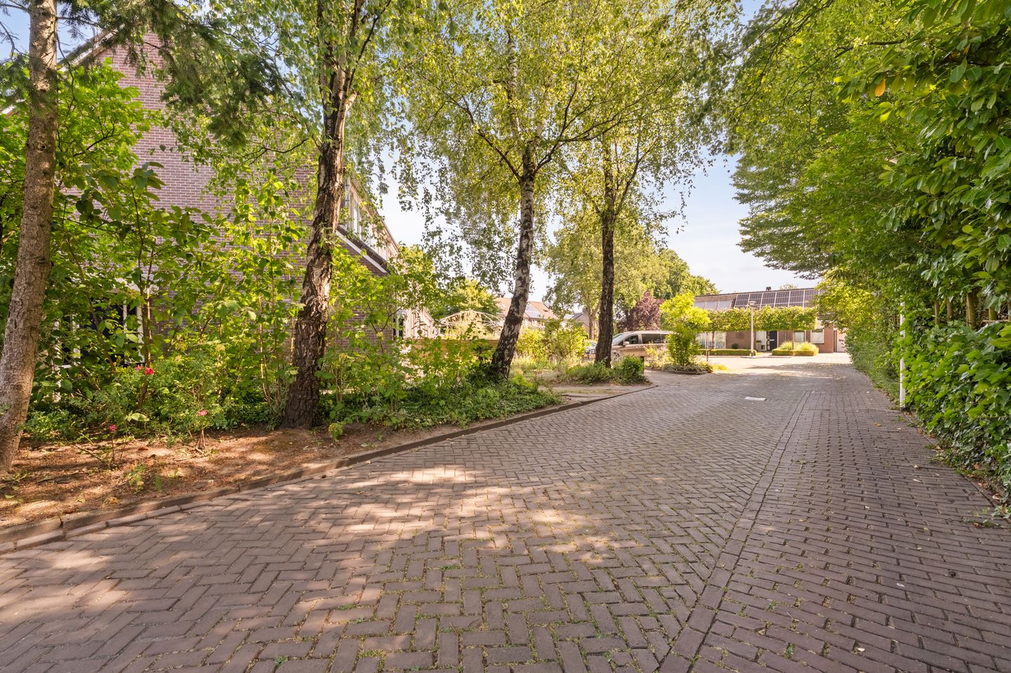 Photo 10 of Diemenlaan 52