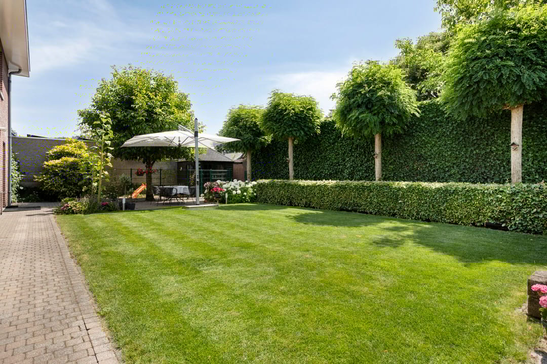 Foto 28 van Buitenhof 10