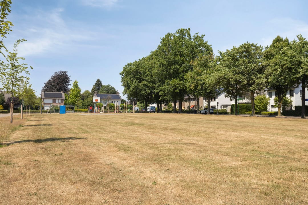 Foto 37 van Buitenhof 10