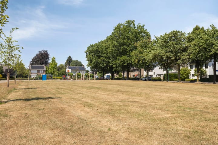 Foto 37 van Buitenhof 10