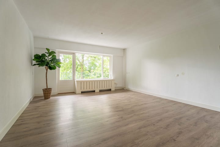 Foto 2 van Aert van Neslaan 232