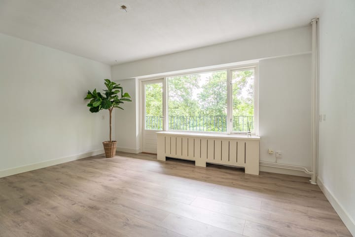 Foto 5 van Aert van Neslaan 232