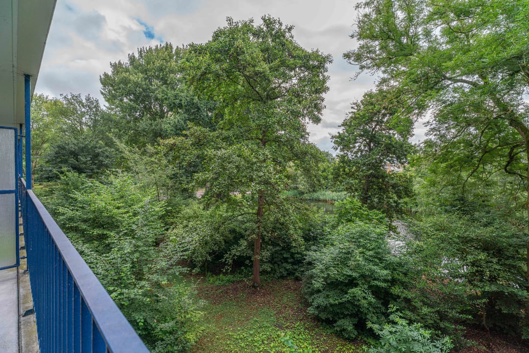 Foto 16 van Aert van Neslaan 232