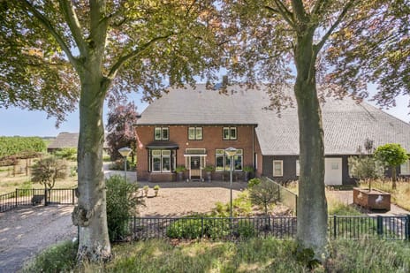 undefined main image