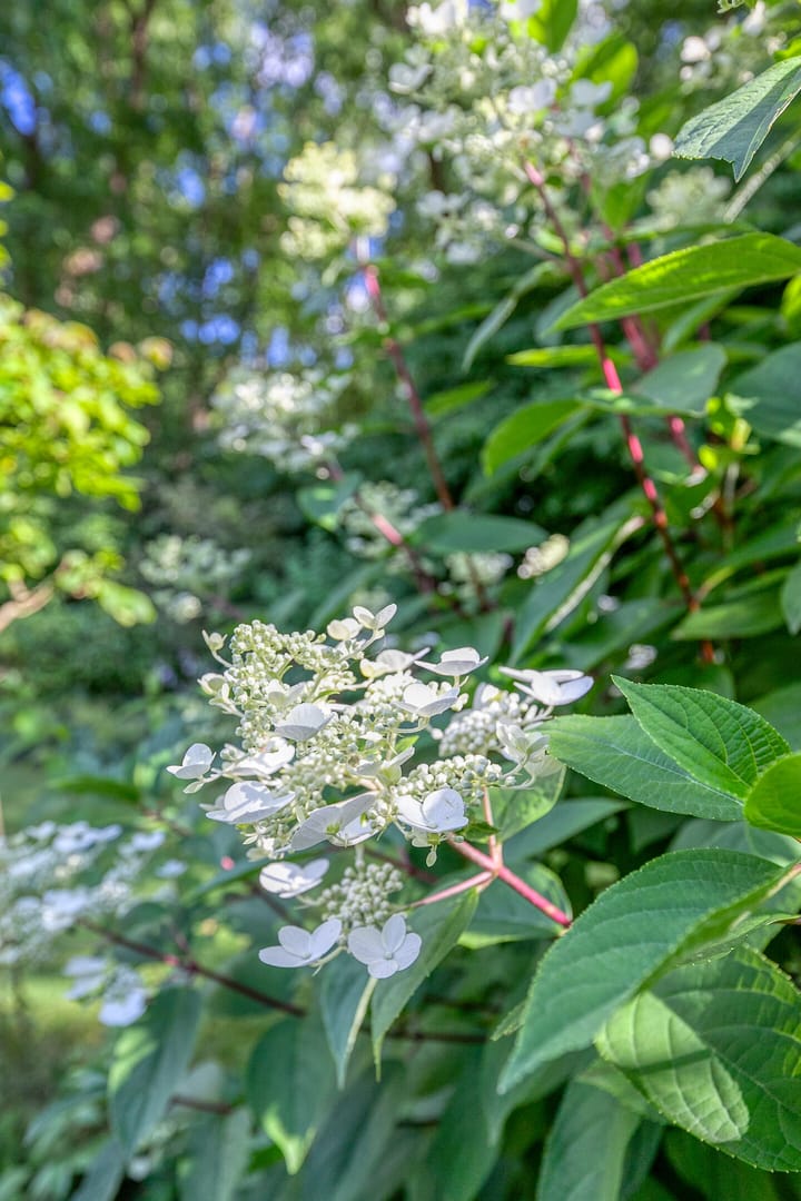 Foto 42 van Daniel Eyndhoutsgaarde 13