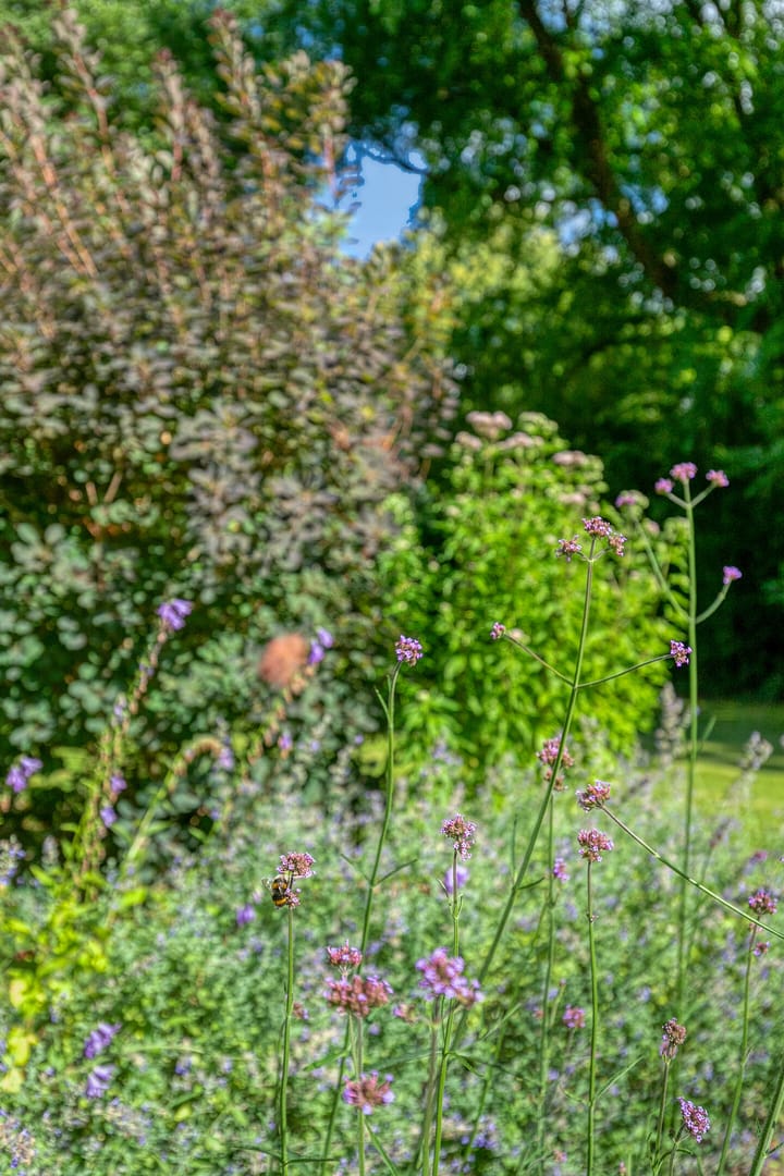 Foto 43 van Daniel Eyndhoutsgaarde 13