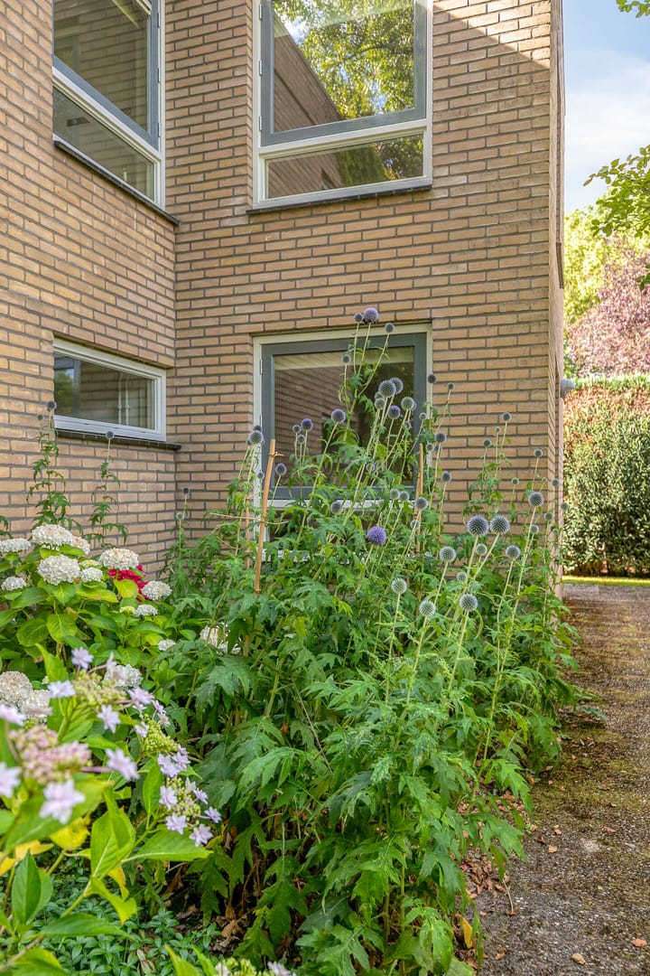 Foto 53 van Daniel Eyndhoutsgaarde 13