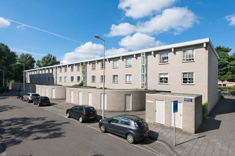 undefined main image