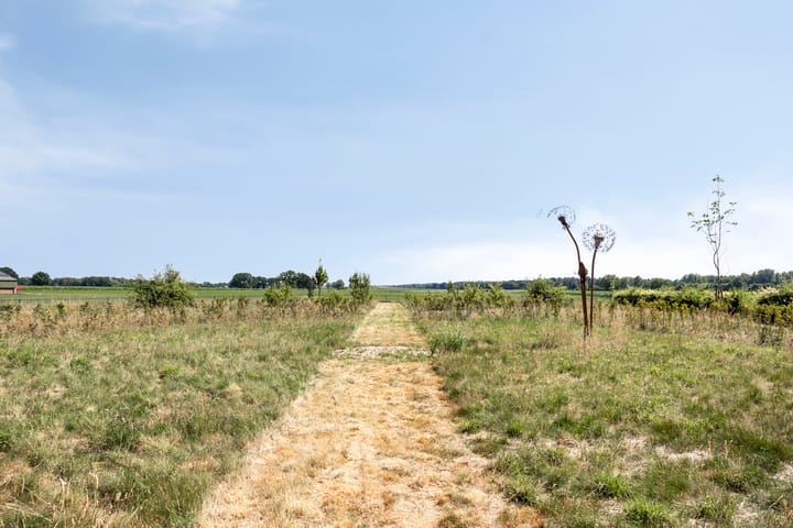 Foto 33 van Beukenlaan 28