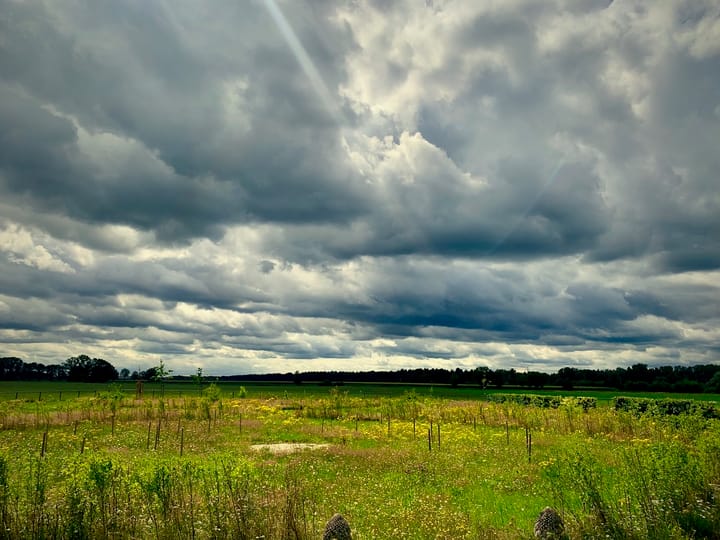 Foto 38 van Beukenlaan 28