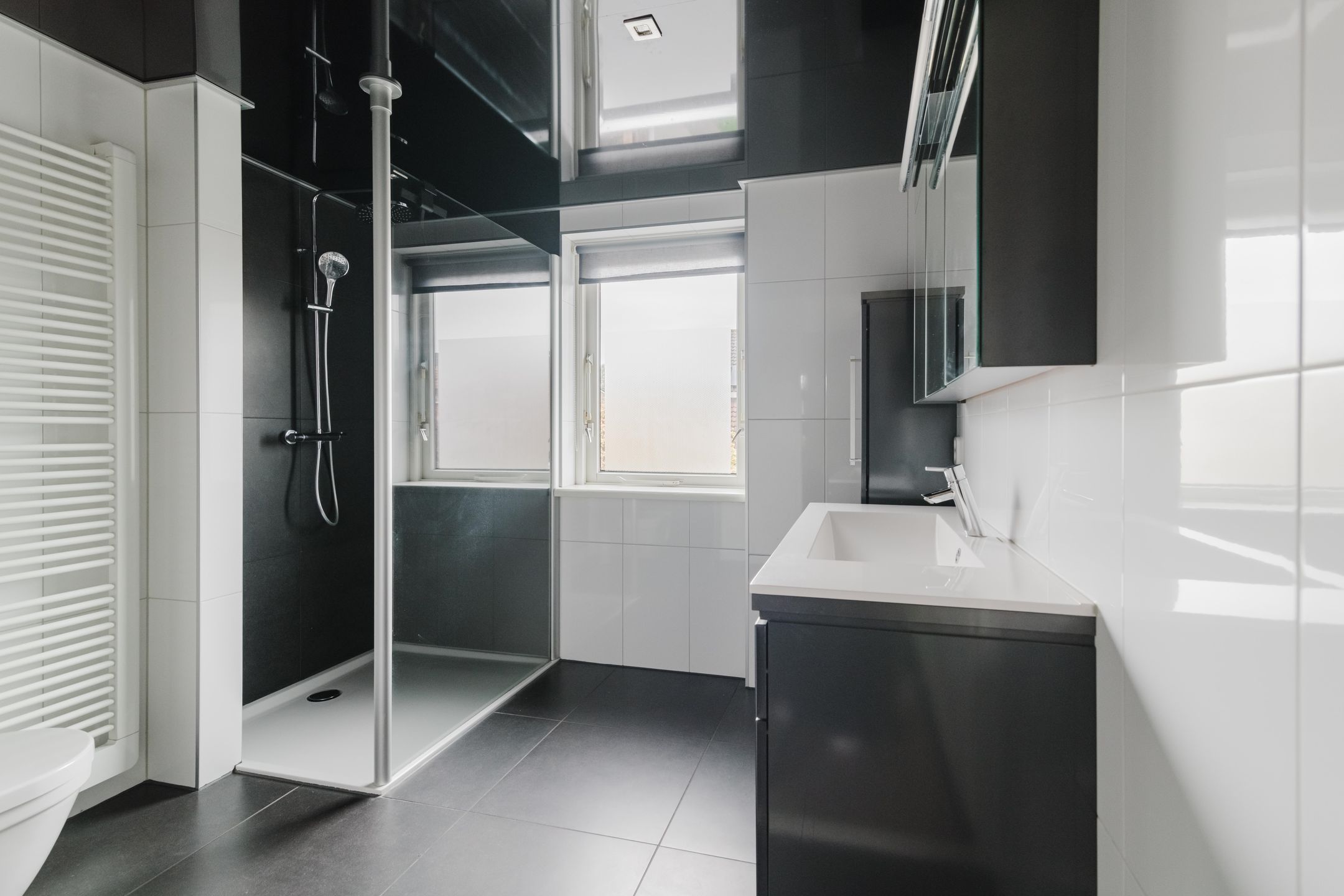 Foto 3 van Lijsterbes 7