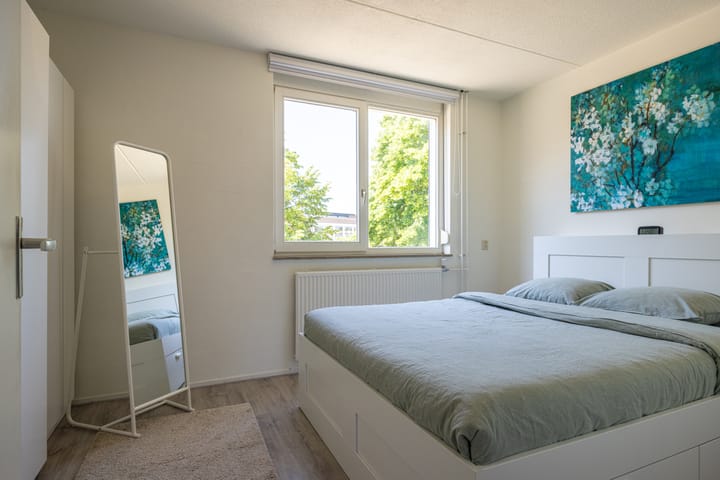 Foto 20 van Paulus Potterstraat 16