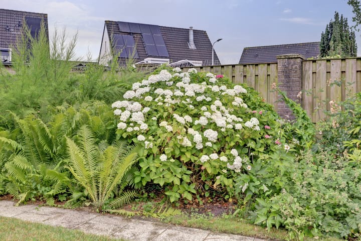 Photo 31 of Hillegomlaan 65