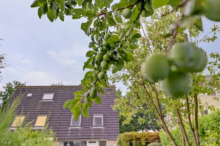 Photo 33 of Hillegomlaan 65