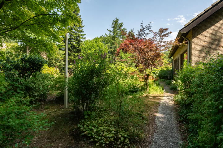 Foto 41 van Van der Helstlaan 31