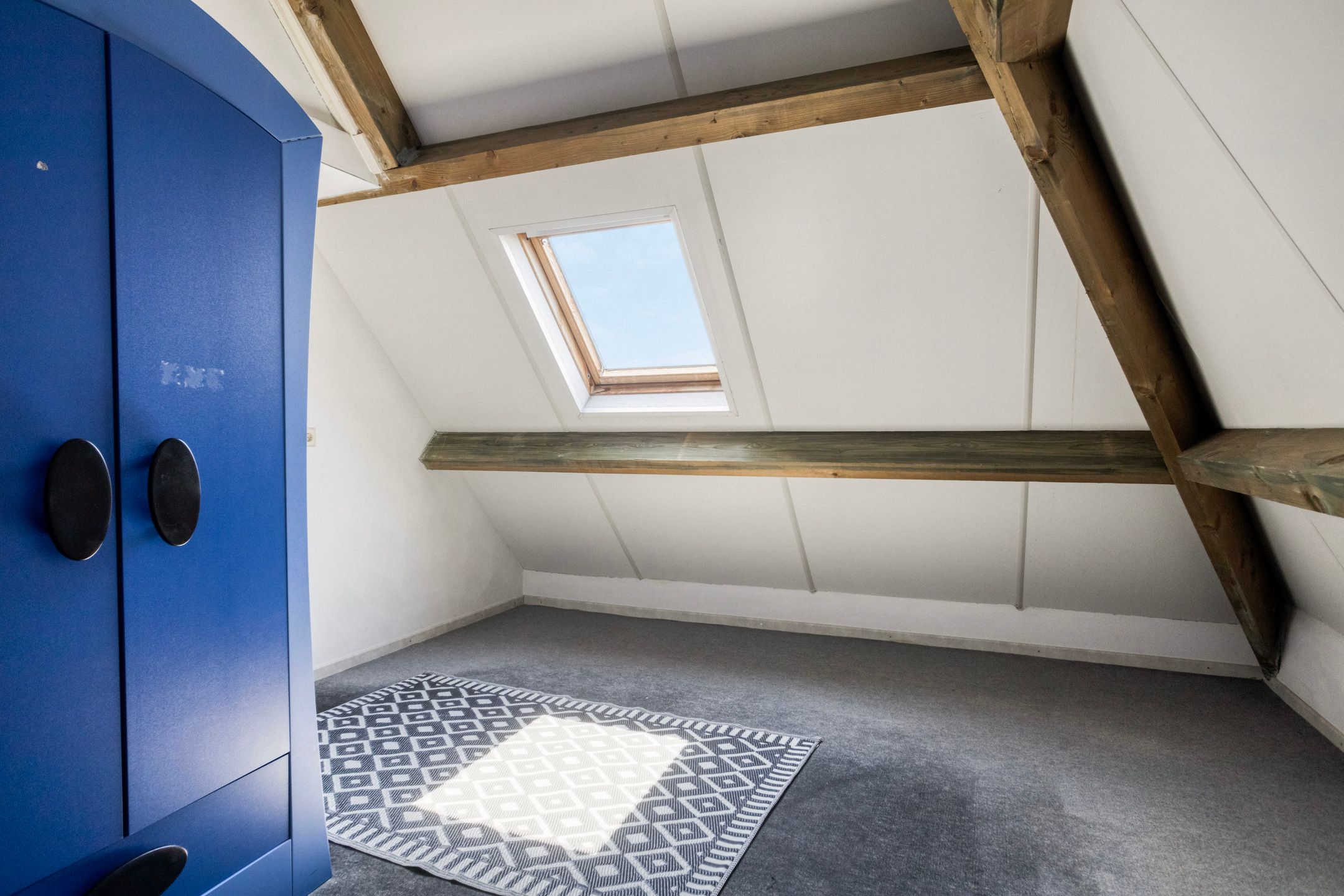 Foto 36 van Schutsboom 20