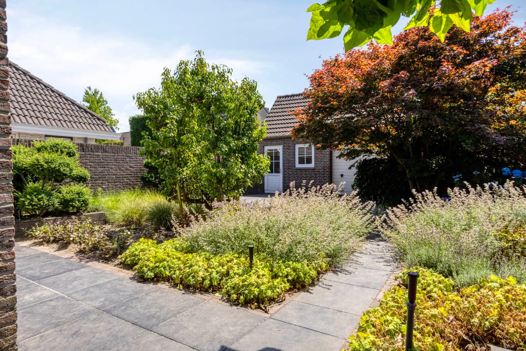 Foto 41 van Schutsboom 20