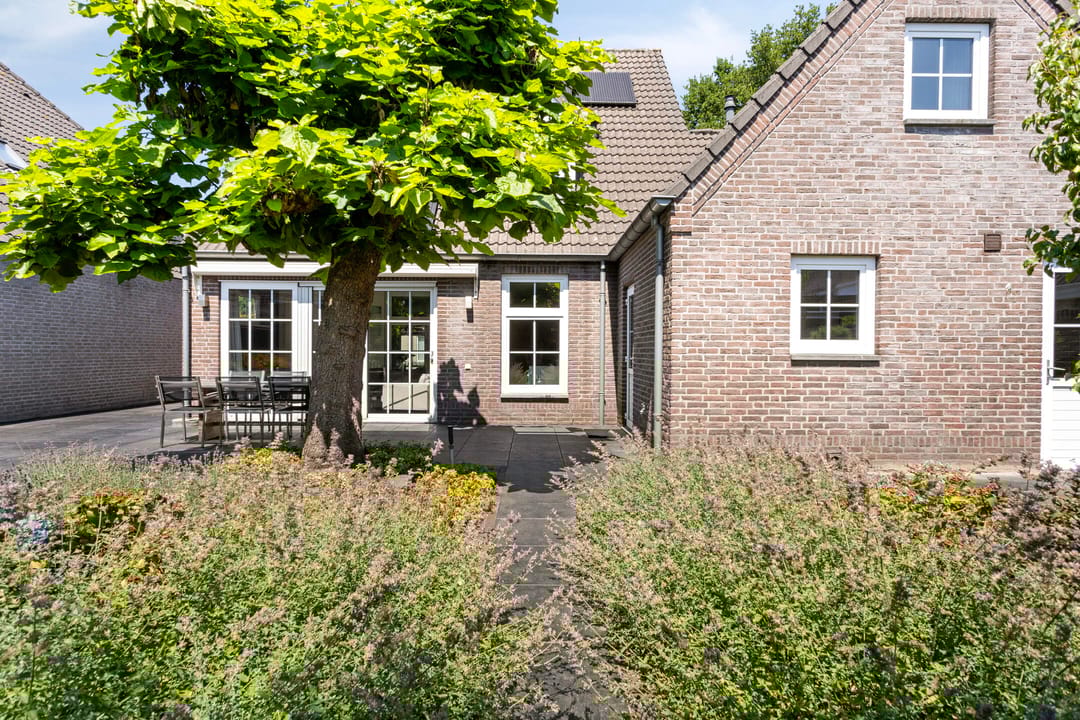 Foto 46 van Schutsboom 20