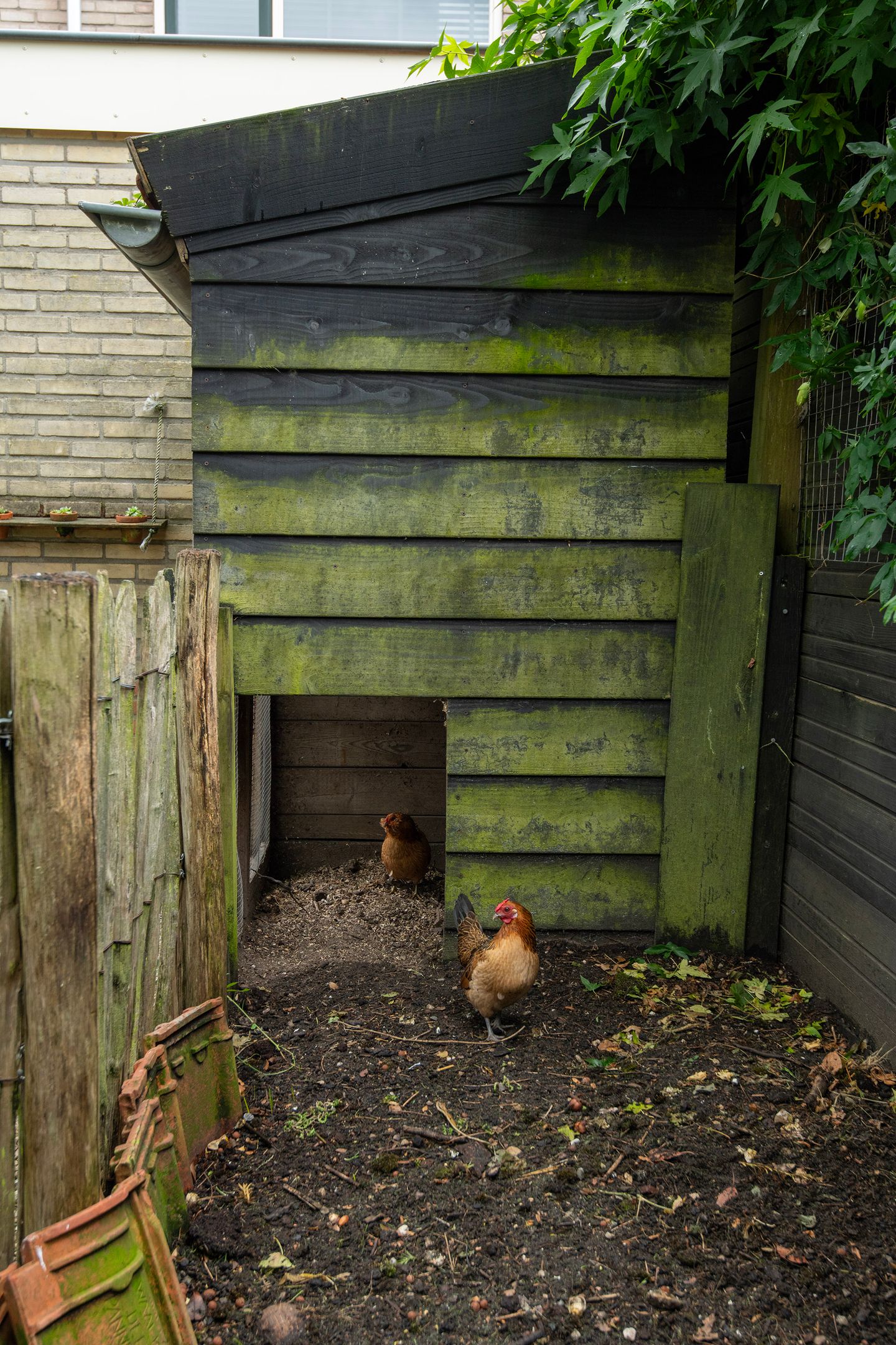 Photo 34 of Groeneveltstraat 18