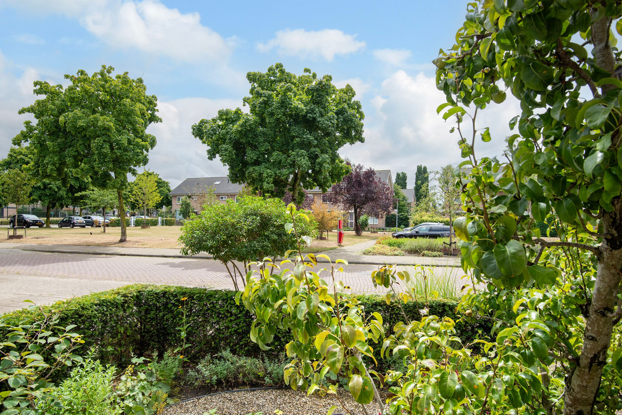 Photo 36 of Groeneveltstraat 18