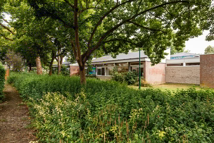 Foto 4 van Friese Steen 17