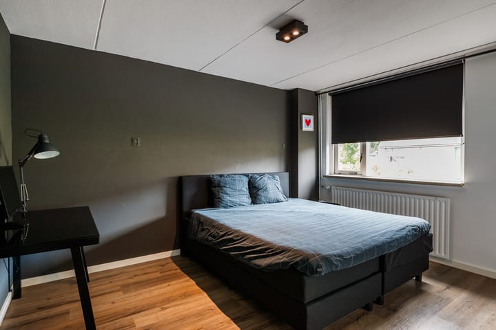 Foto 21 van Friese Steen 17