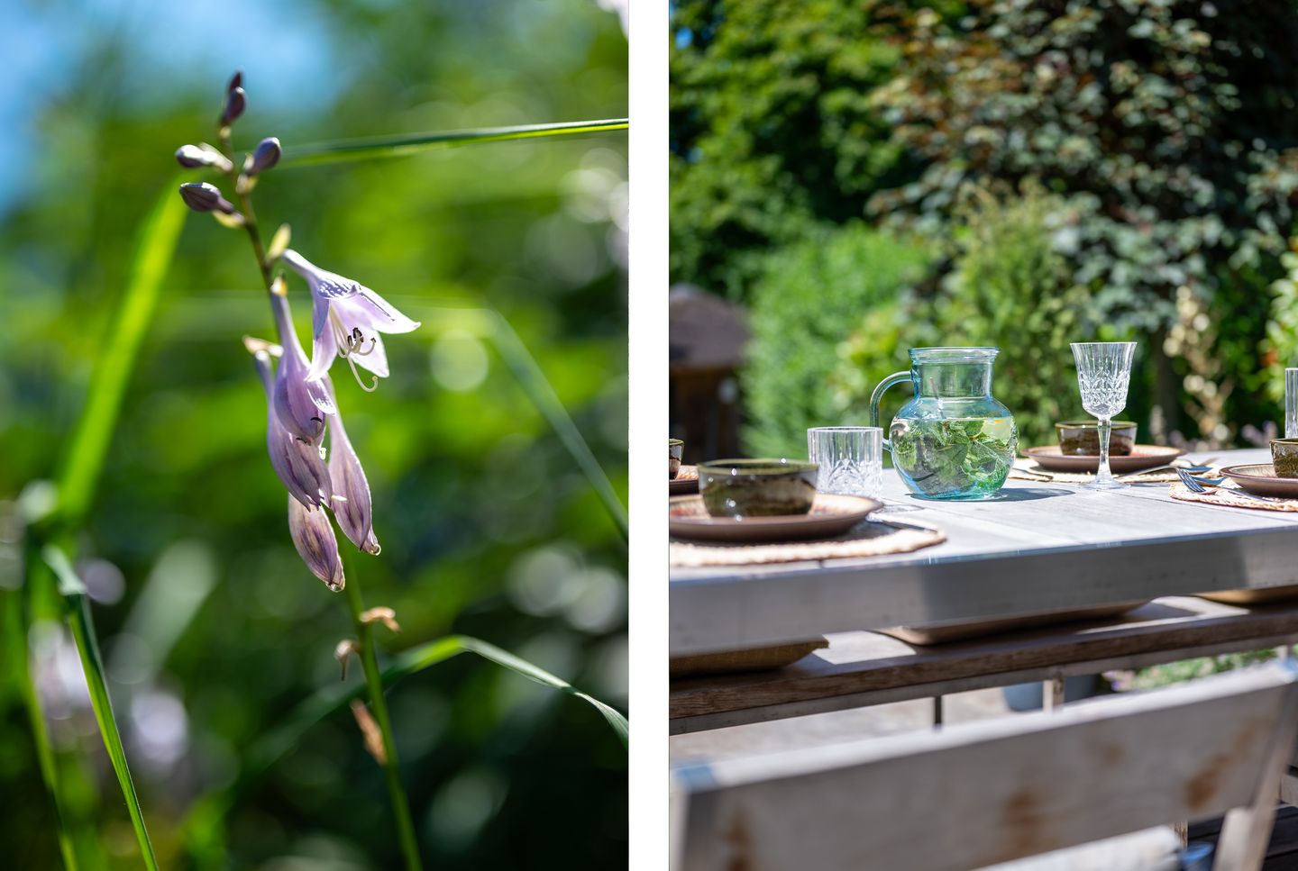 Foto 34 van Lingsesdijk 34