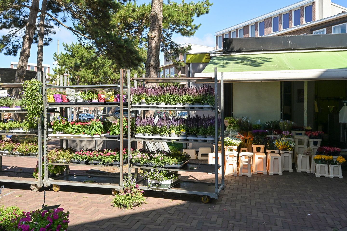 Photo 29 of Pluvierstraat 457