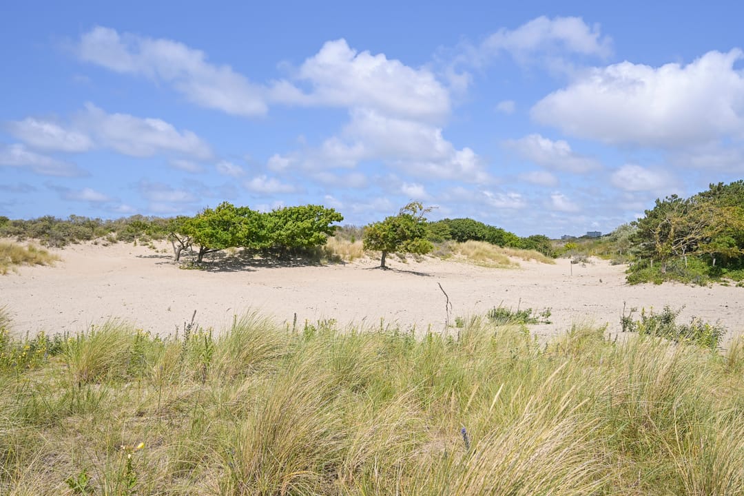 Photo 32 of Pluvierstraat 457