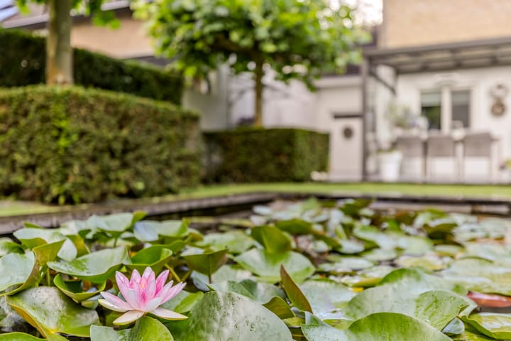 Foto 35 van Jan Tinbergenlaan 70