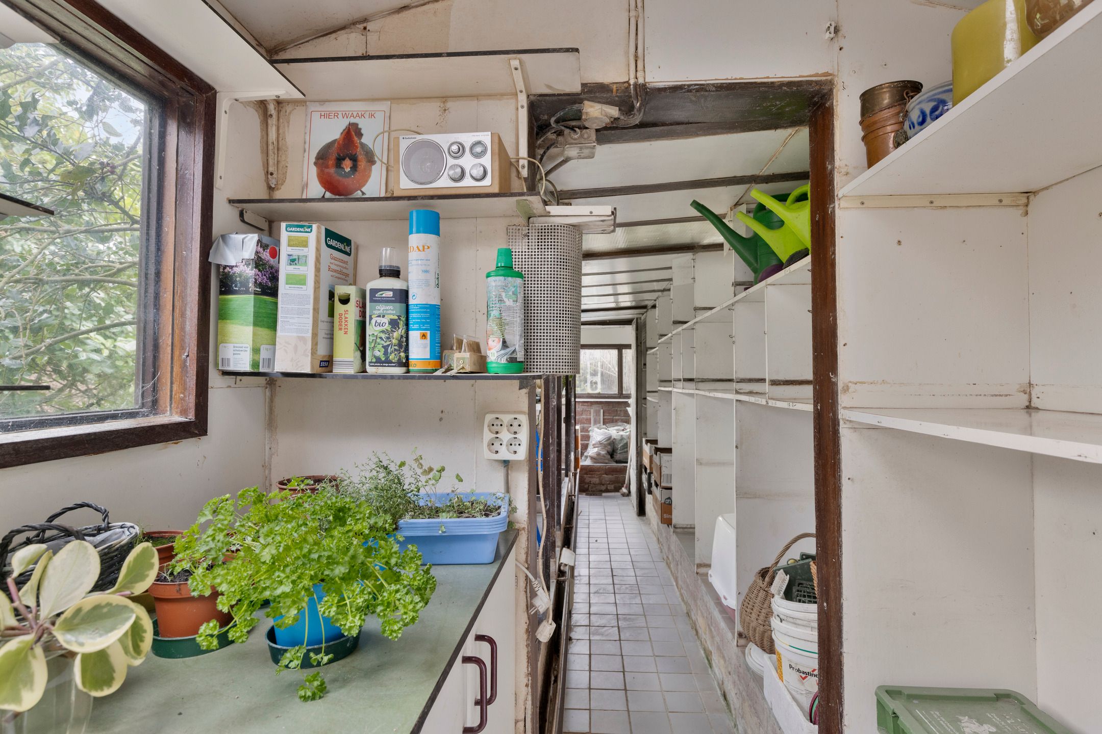 Foto 36 van Leliestraat 13