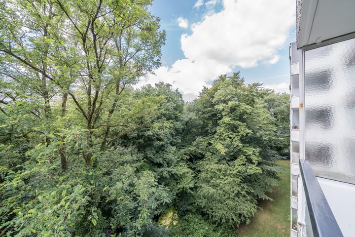 Foto 20 van De Zalmen 63