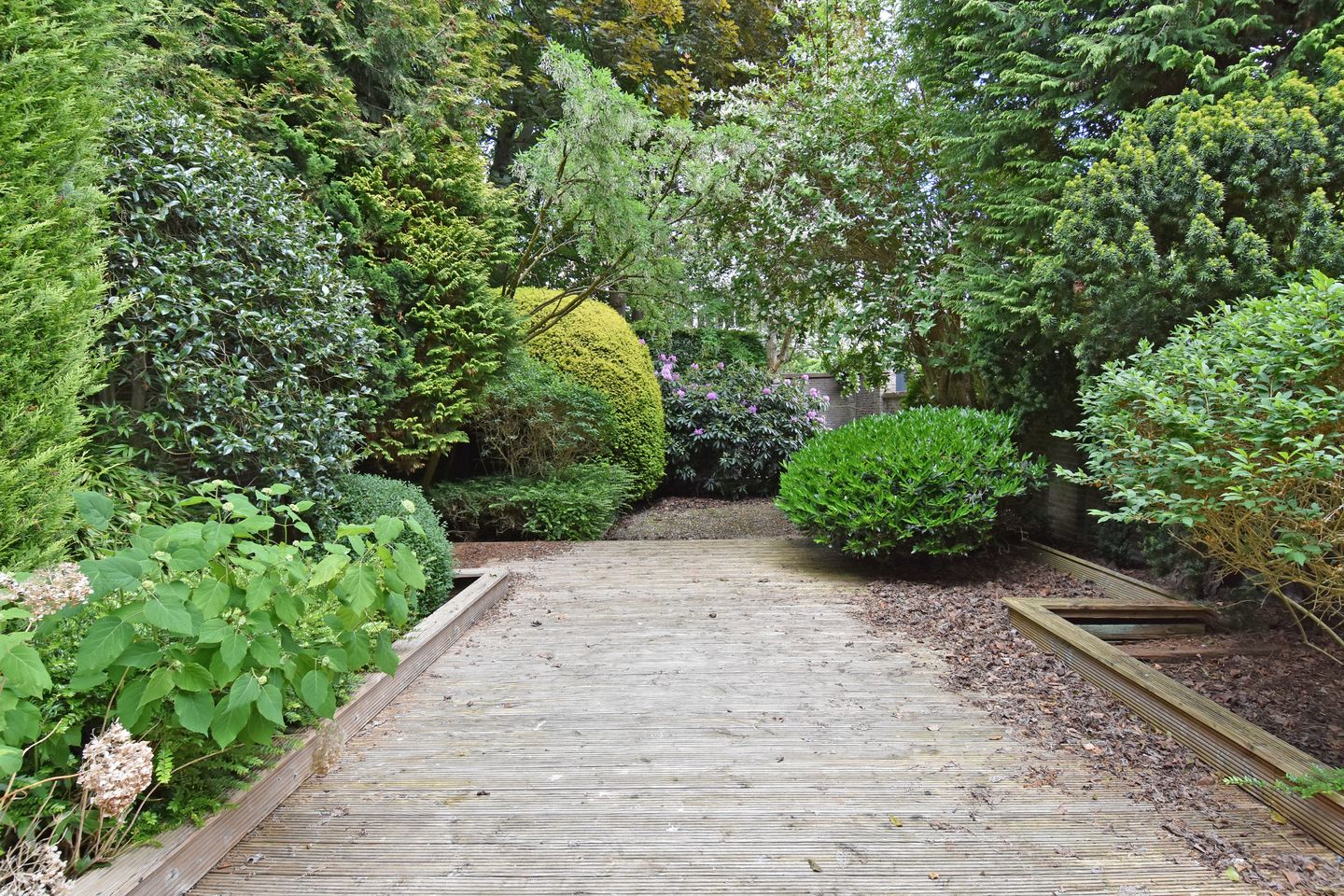 Foto 14 van Nassauplein 37