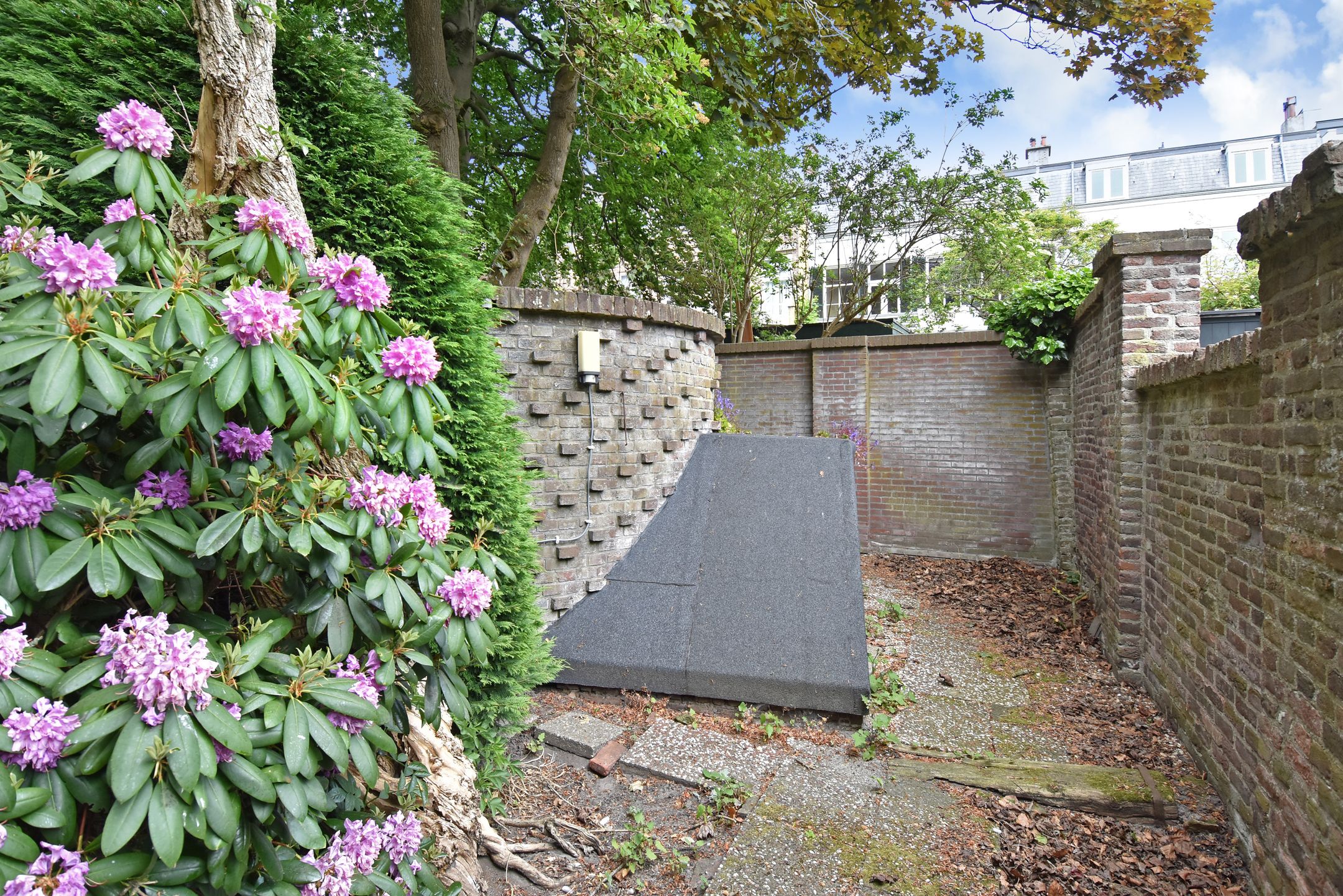 Foto 15 van Nassauplein 37