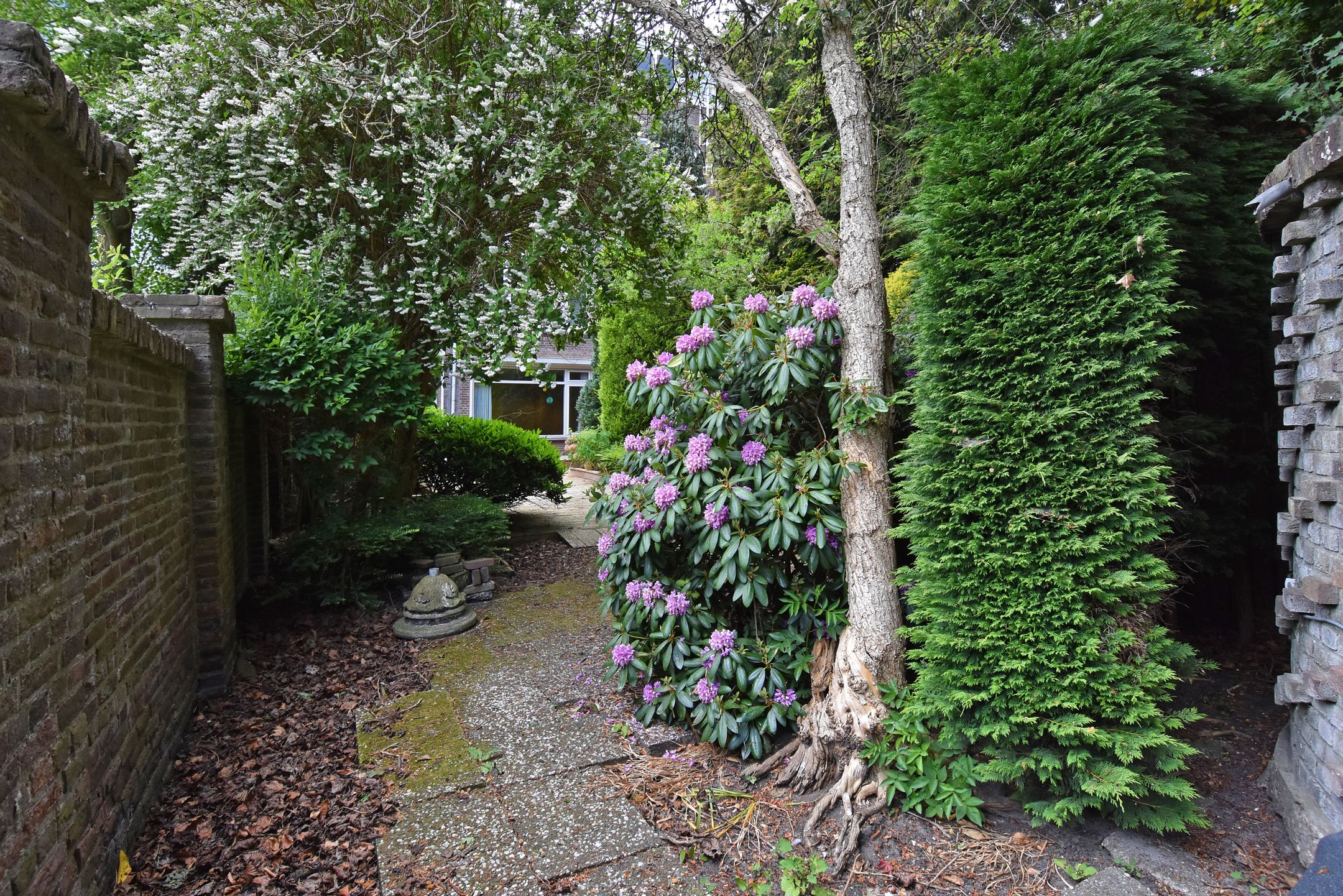 Foto 18 van Nassauplein 37