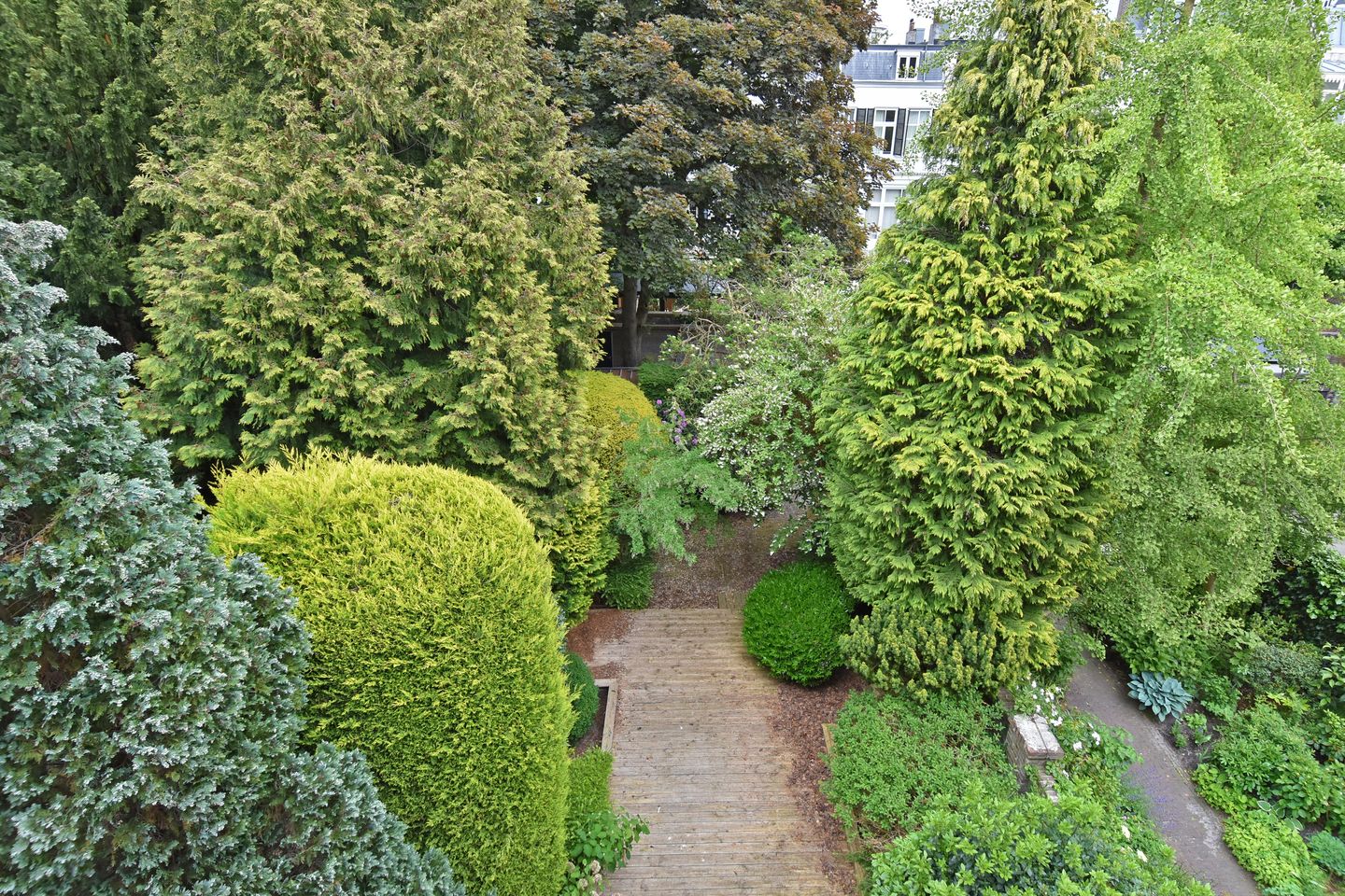 Foto 40 van Nassauplein 37