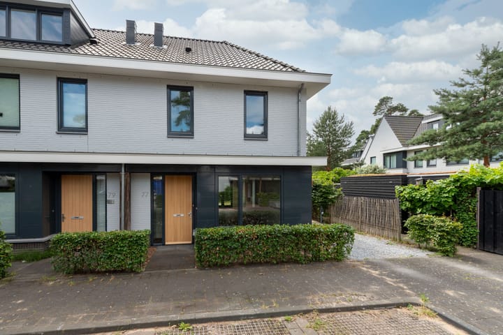 Photo 4 of Prinses Catharina Amalialaan 77