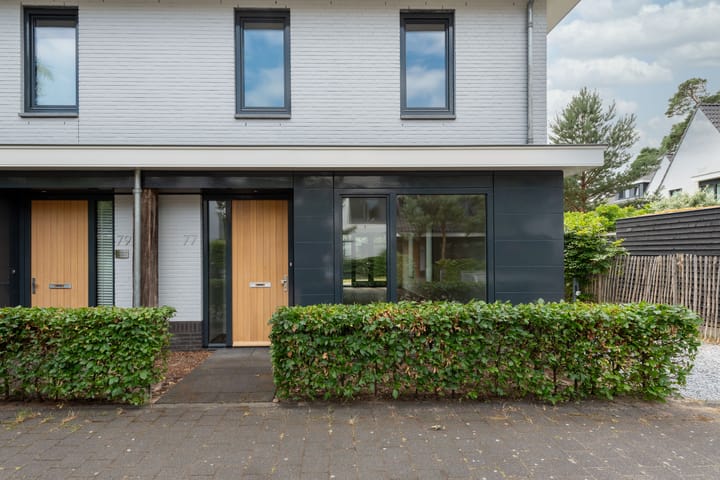 Photo 5 of Prinses Catharina Amalialaan 77