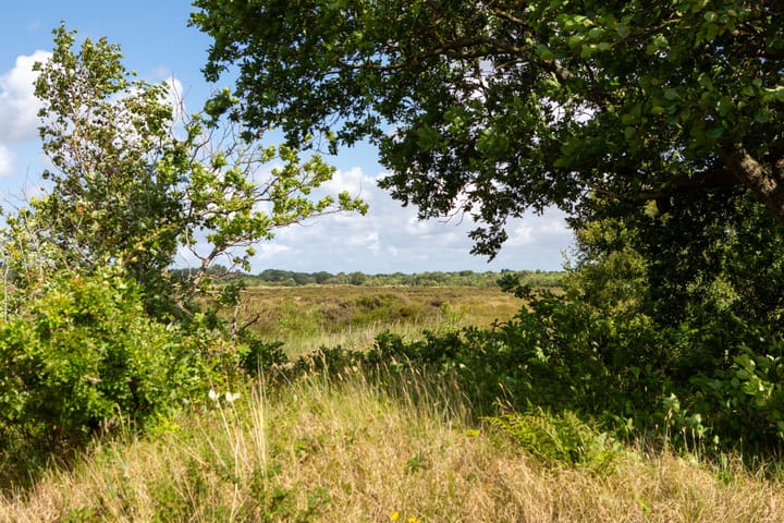 Foto 20 van Heereweg 42-50