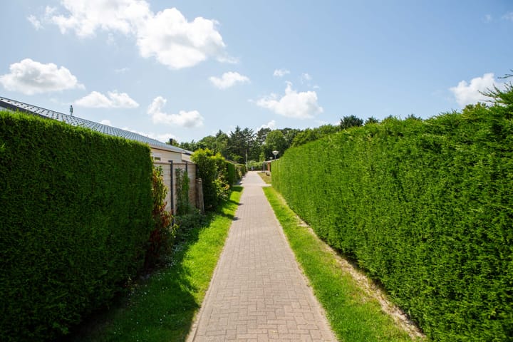 Foto 26 van Heereweg 42-50