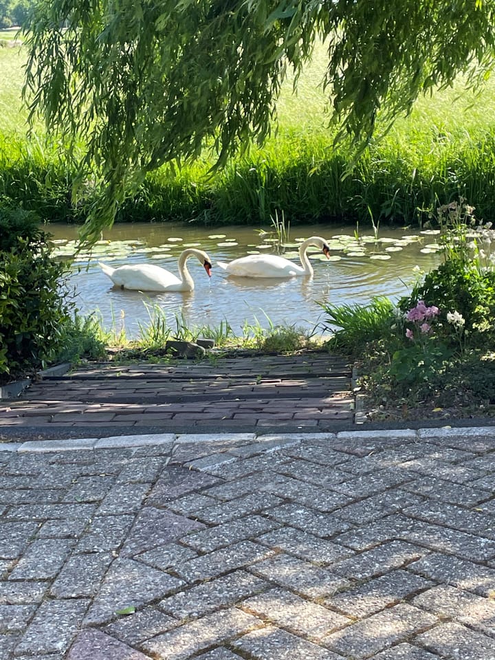 Foto 59 van Oudeweg Oost 1